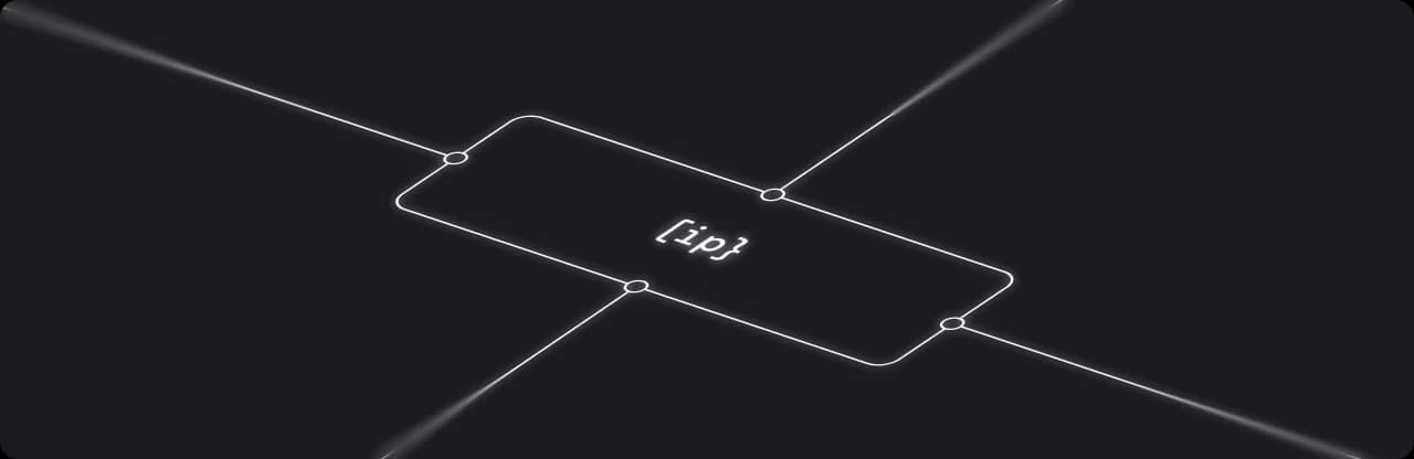 ip vector